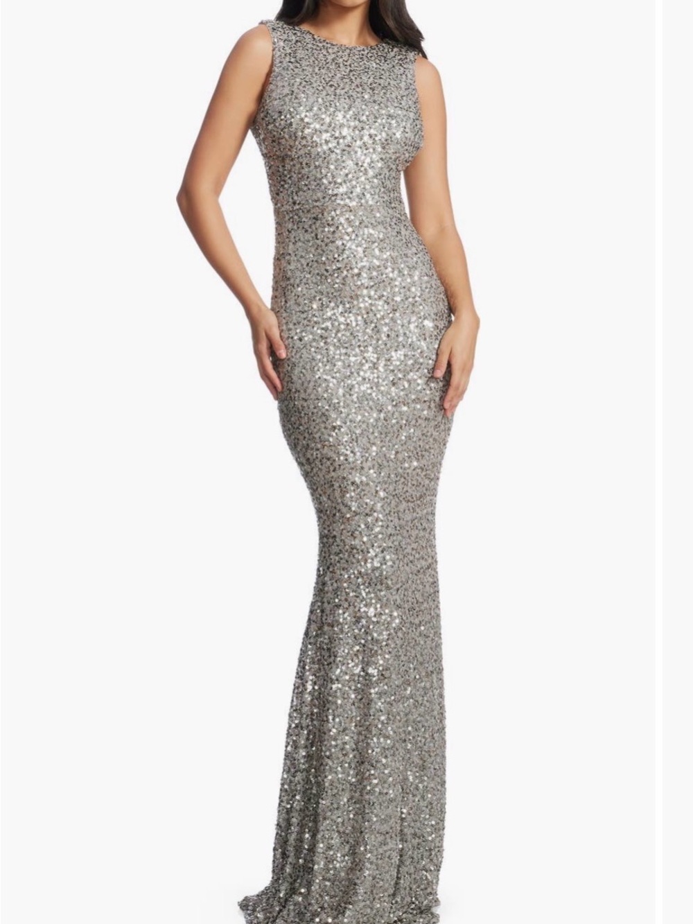 Dress the Population Silver (dove) Sequin Gown with Gray Lining